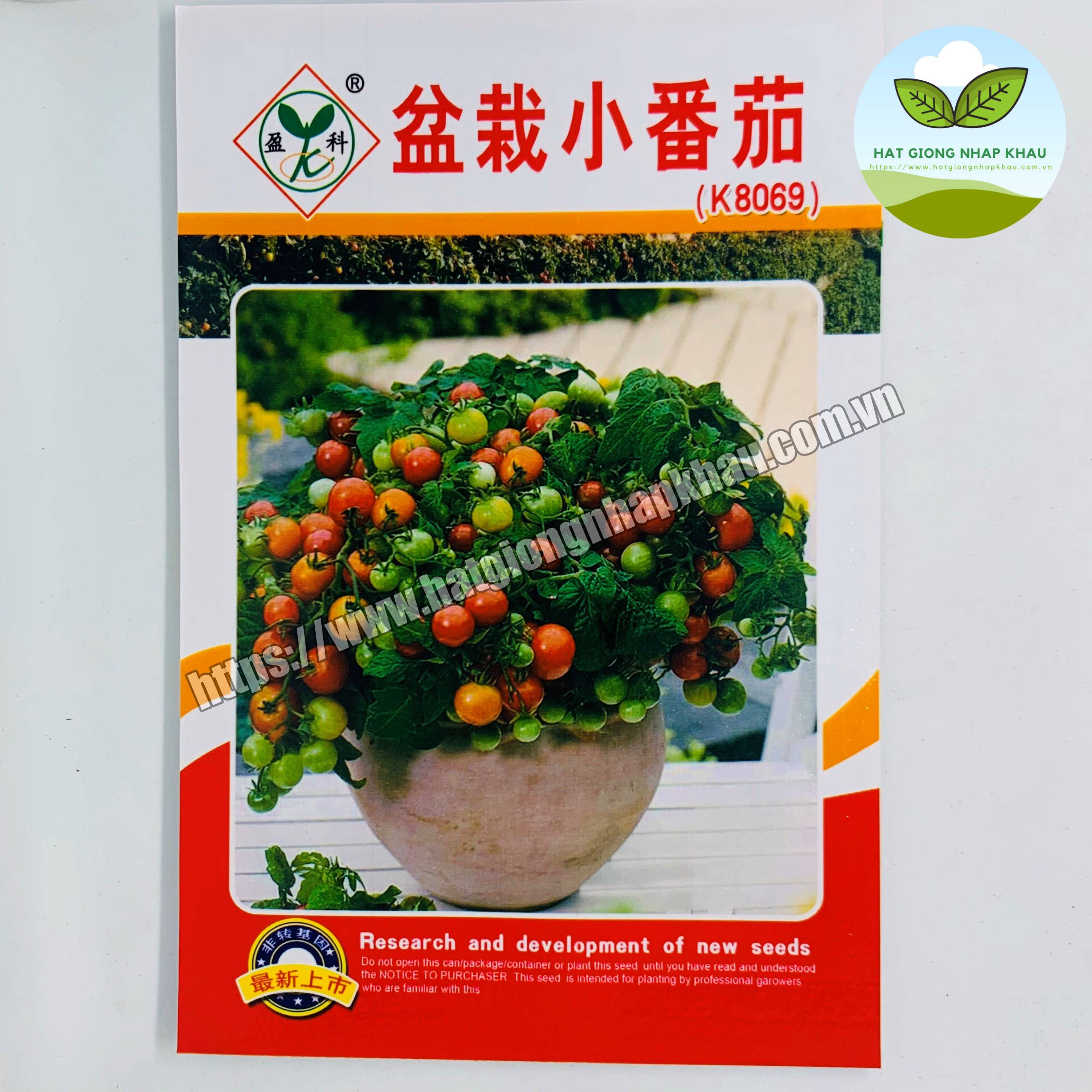 Hạt giống cà chua bi lùn đỏ . 0,5 gr/gói
