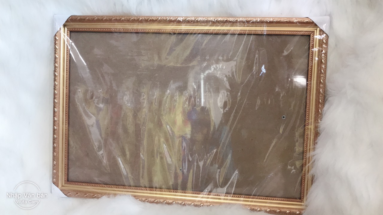Khung hình,khung ảnh 30x45 treo tường