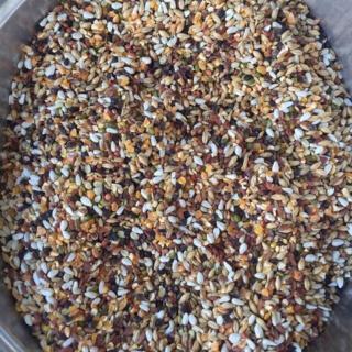 HOT Ngũ cốc trộn 14 loại hạt cho chim cu gáy thumbnail