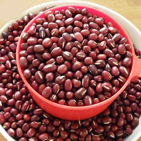 Xích tiểu đậu (đậu đỏ hạt nhỏ) 500Gr