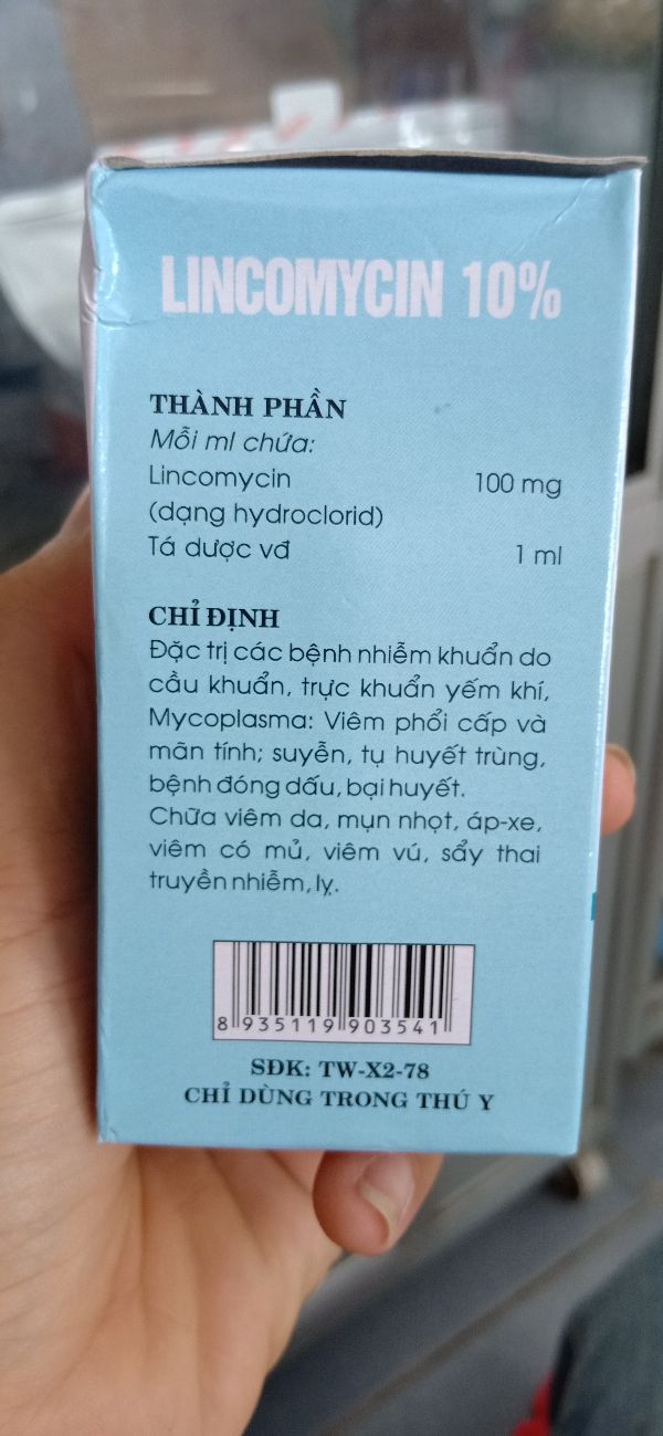 Lincomycin 100Ml Đặc T rị Nhiễm Khuẩn - 307