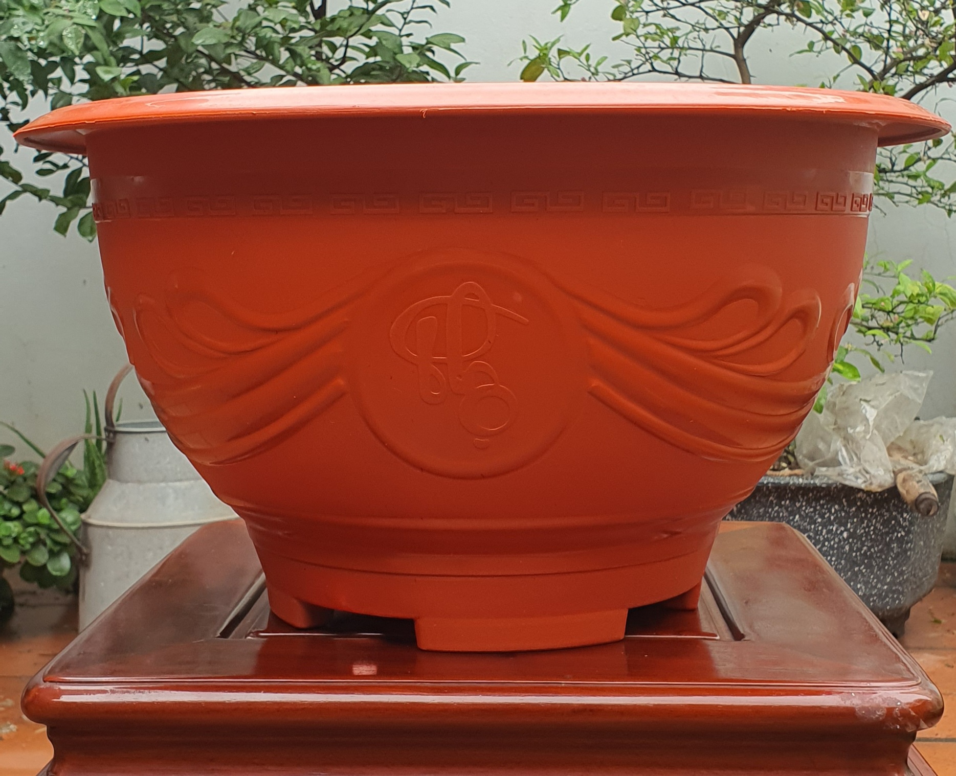 Chậu nhựa tròn T48 đỏ hoa văn đa dạng
