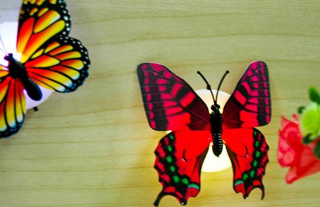 Đèn Led Hình Con Bướm Phát Sáng Dán Tường