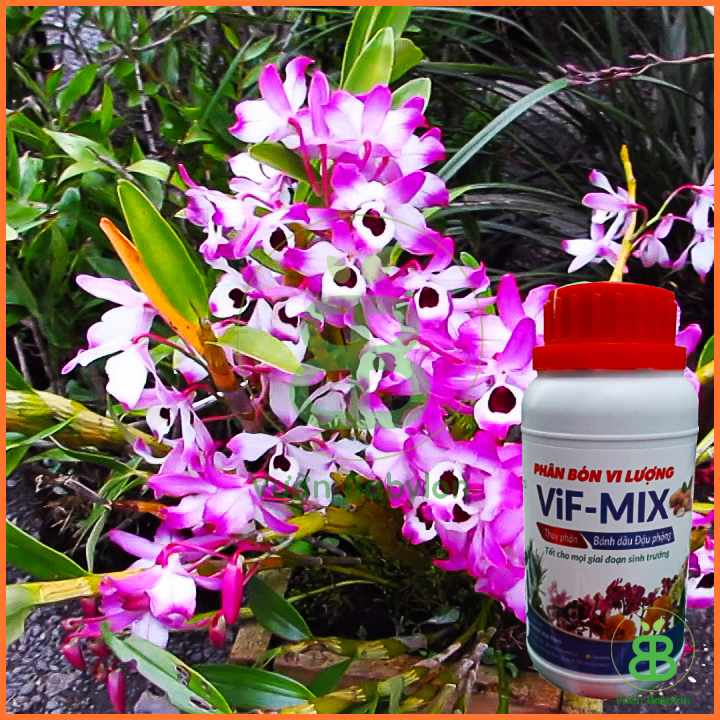 Phân Bánh Dầu Đậu Phộng Vif Mix Chai 250ml