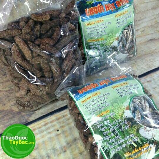 sỉ 1kg chuối hột rừng đặc sản tây nguyên