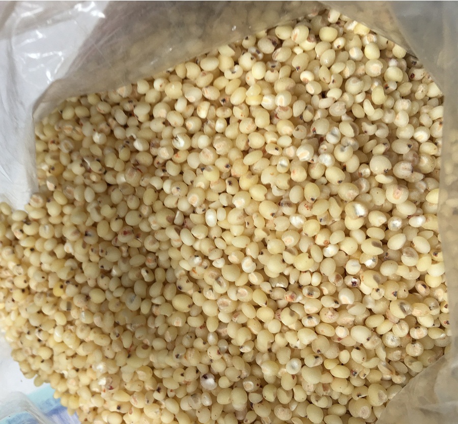 1kg Hạt Ý Dỹ  (bo bo)  Thảo Lộc