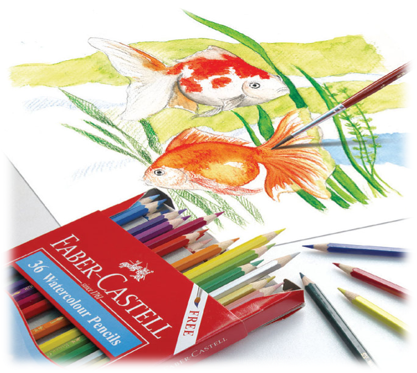 [OFFICIAL] Chì Màu Nước Parrot Faber-Castell