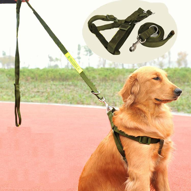 Xích chó Dây dắt cho chó kèm yếm bản 3cm