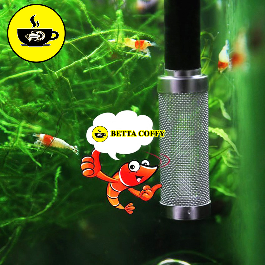 Bịt Tép Inox - Ngăn Chặn Cá Tép Chống bị hút vào máy lọc