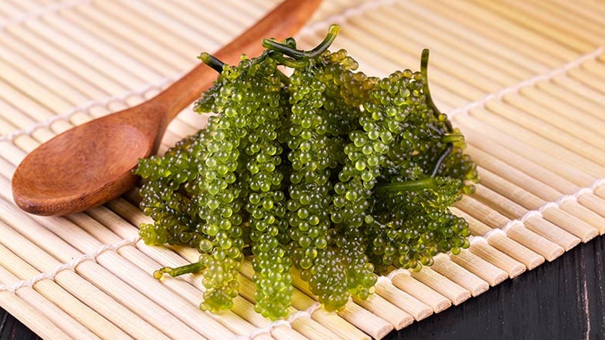 [CAM KẾT CHÍNH HÃNG 100%] RONG NHO TÁCH NƯỚC ORGANIC 200G