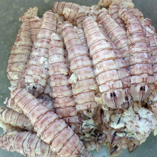 Thịt Tôm Tít (Hộp 500gr)