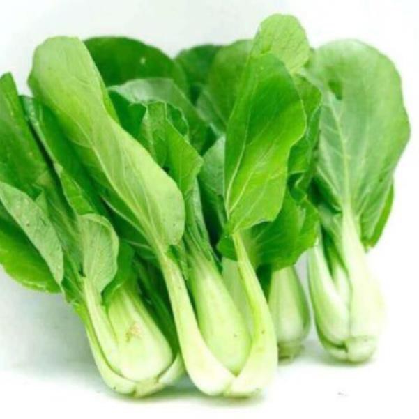 Hạt giống cải chíp xanh lùn 20gr