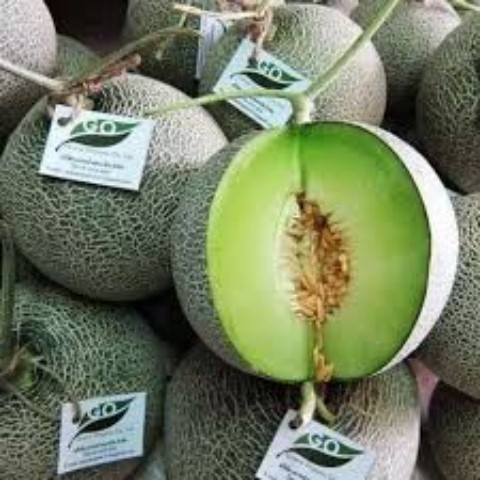Hạt Giống Dưa Lưới Ruột Xanh F1. Túi 10 Hạt Giá Khuyến Mại - Nhiều Dinh Dưỡng - Tốt Cho SK.