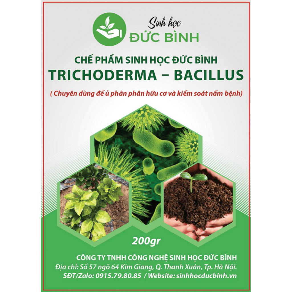 TRICHODERMA BACILLUS - CHẾ PHẨM SINH HỌC CHUYÊN Ủ PHÂN HỮU CƠ VÀ KIỂM SOÁT NẤM BỆNH