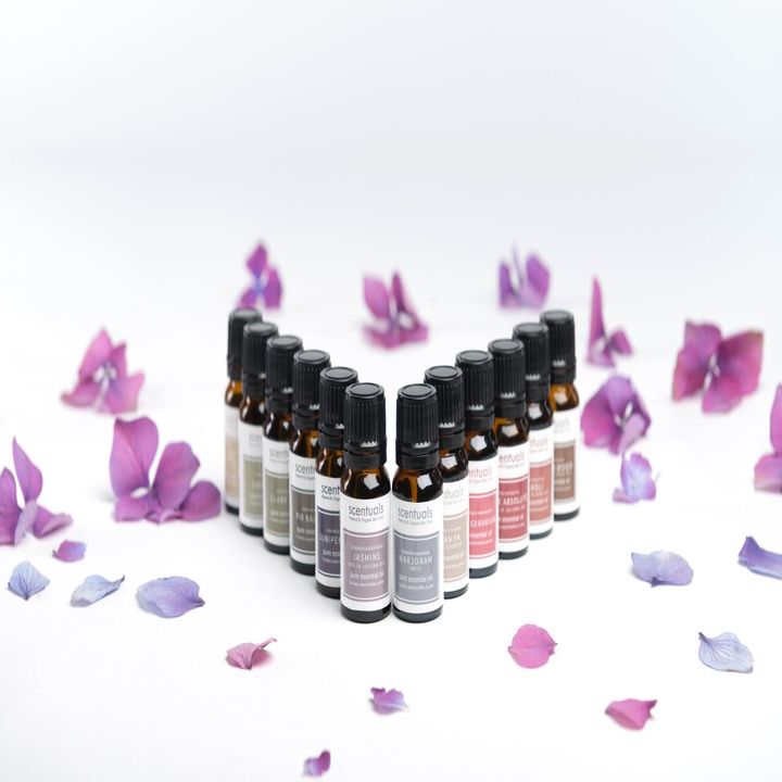 Tinh dầu Xông Phòng Hương Lá Quế Scentuals Cinnamon Leaf Pure Essential Oil 10ml