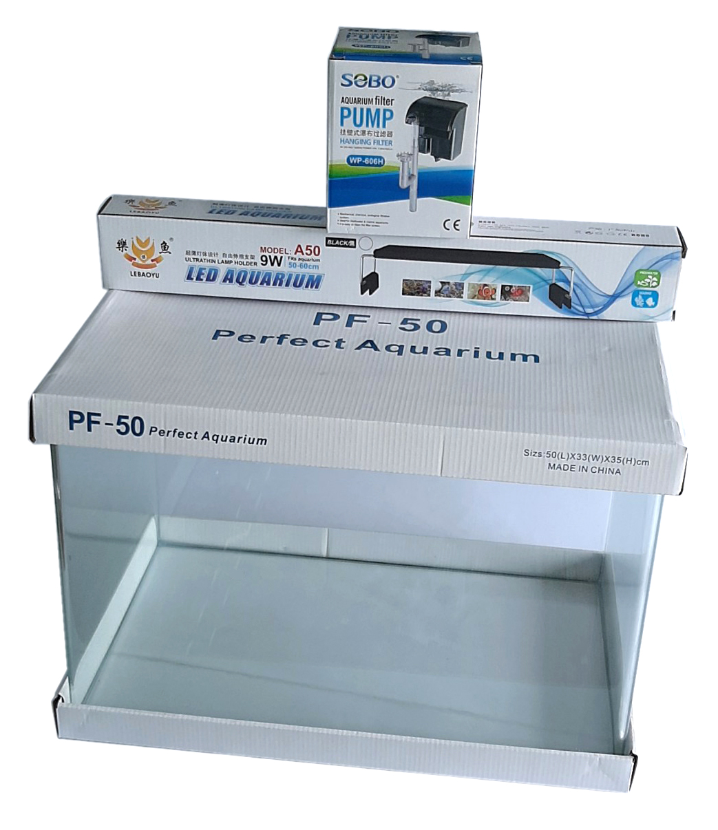 Bể cá đúc 50x33x35 cm, hồ cá mini thủy sinh để bàn
