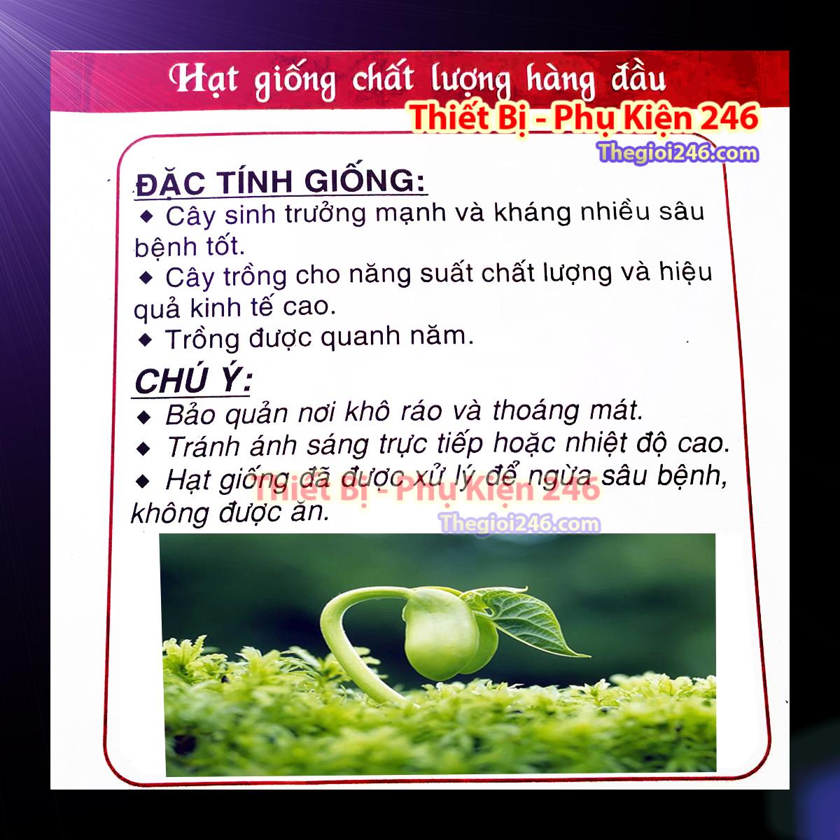 Hạt giống cải ngọt VT-29