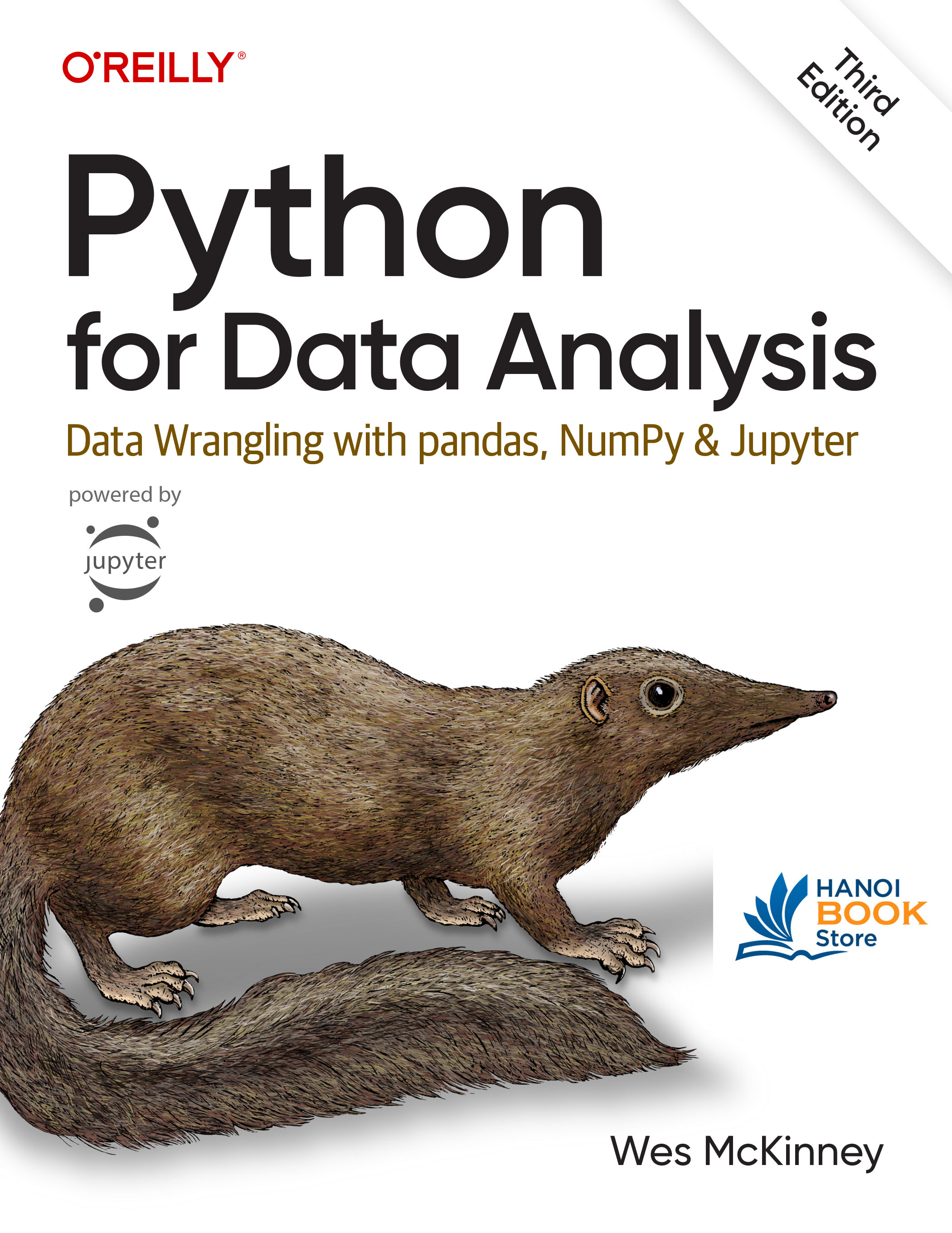 Sách Python for Data Analysis, 3rd Edition