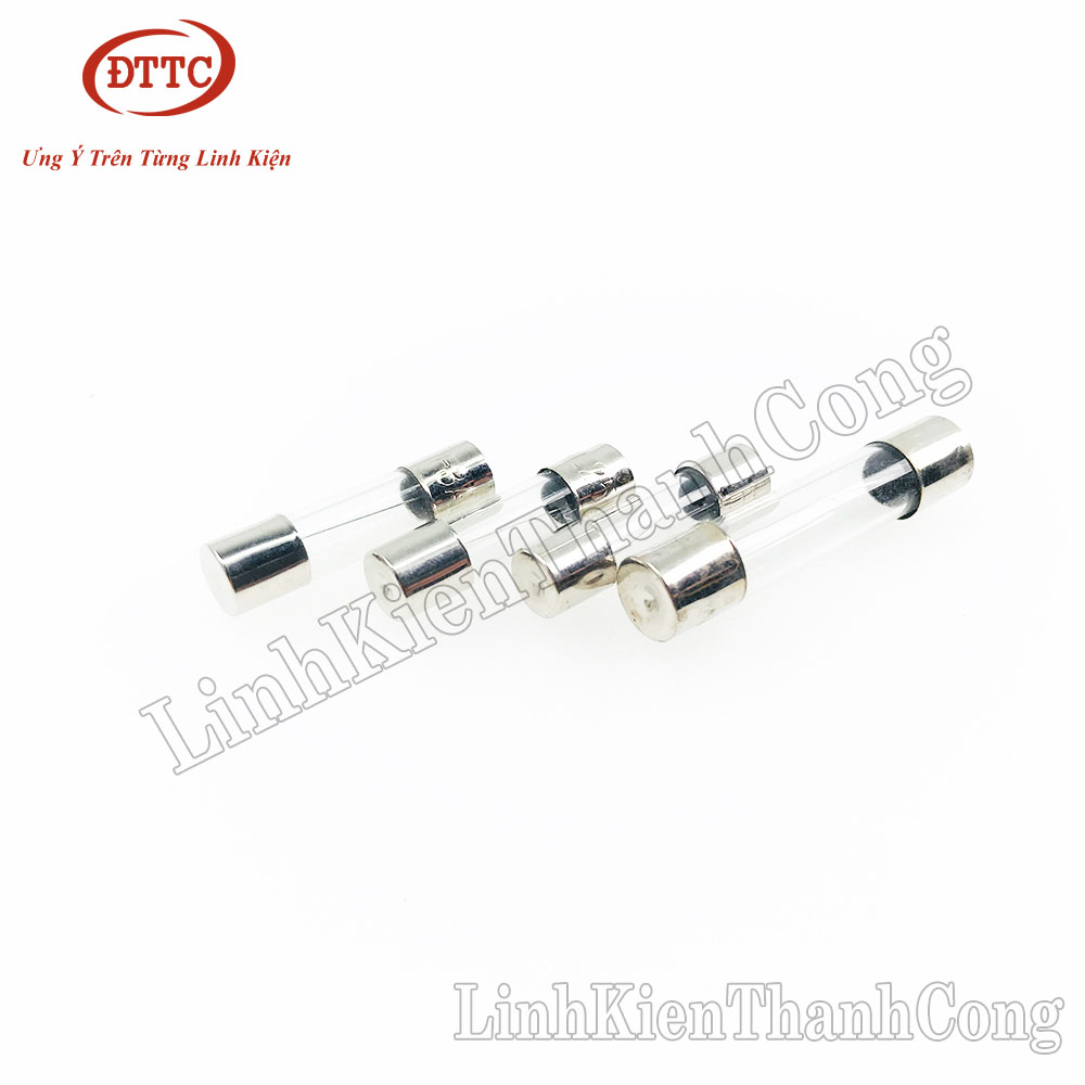 Bộ 2 Chiếc Cầu chì 1A 2A 3A 5A 8A 10A 250VAC 5x20mm