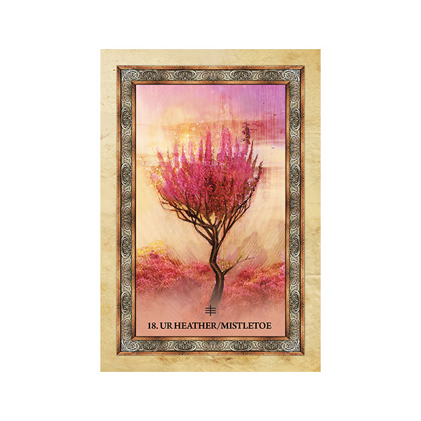 Bộ Bài Celtic Tree Oracle (Mystic House Tarot Shop) - Bài Gốc Authentic Chính Hãng 100%