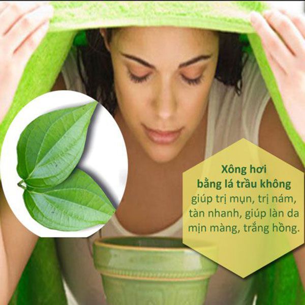 Bột Lá Trầu Không 100g - DL Taphaco