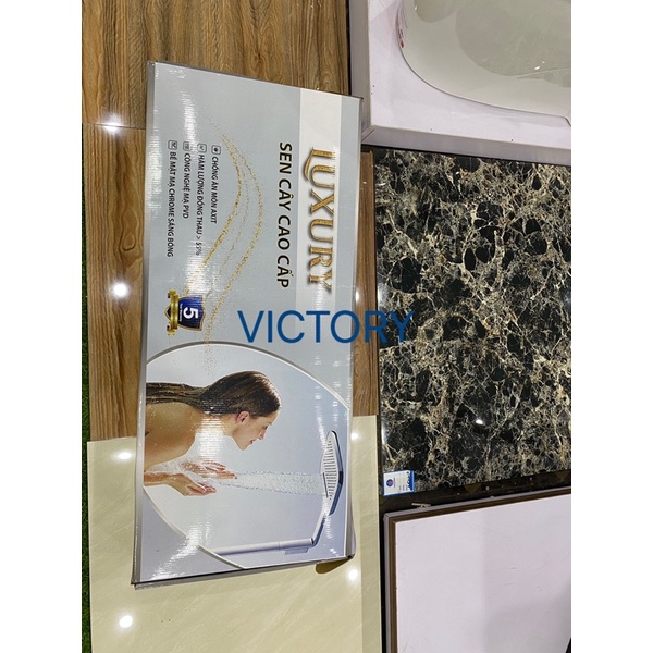 Sen Cây Tắm Đứng Bát Vuông Cao Cấp VICTORY