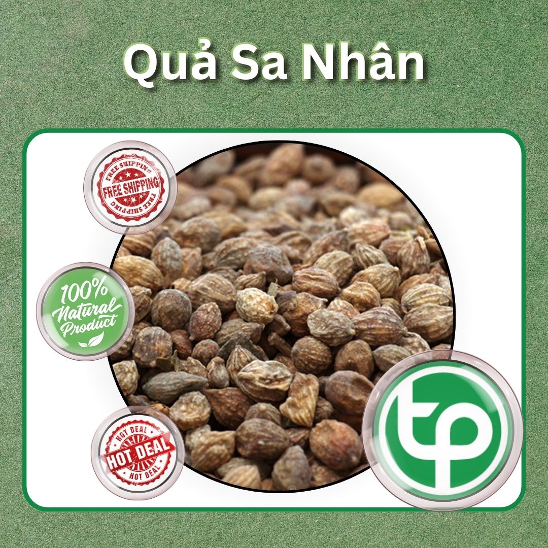 Quả sa nhân sấy khô 100g - Tấn phát - hỗ trợ cải thiện khả năng hô hấp cực kỳ hiệu quả