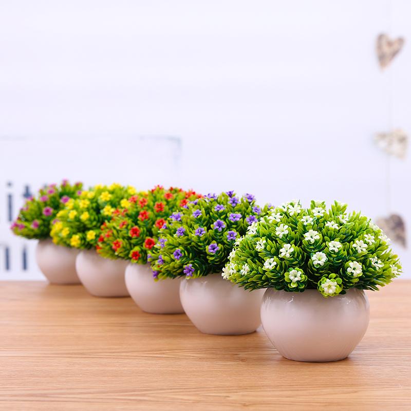Giảm giá Hoa trang trí, Chậu cây hoa nhí để bàn, Bình hoa mini cá tính, Lọ  hoa để kệ tủ, chậu hoa sao nhựa nhiều tán. - Mua Thông Minh