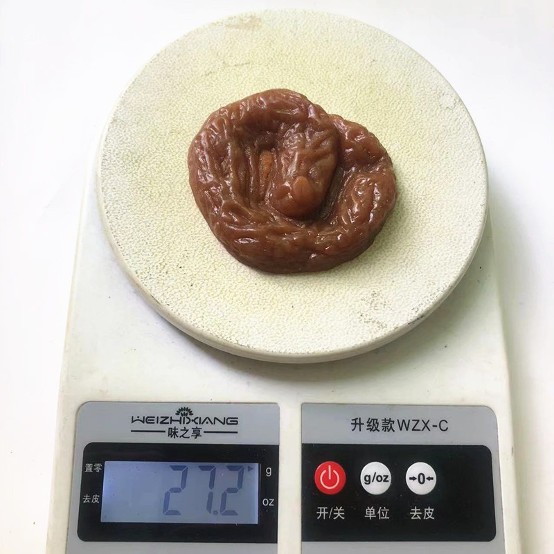 Cục phân giả💩( kèm 1 con gián, 1 con ruồi ) bãi phân đồ chơi