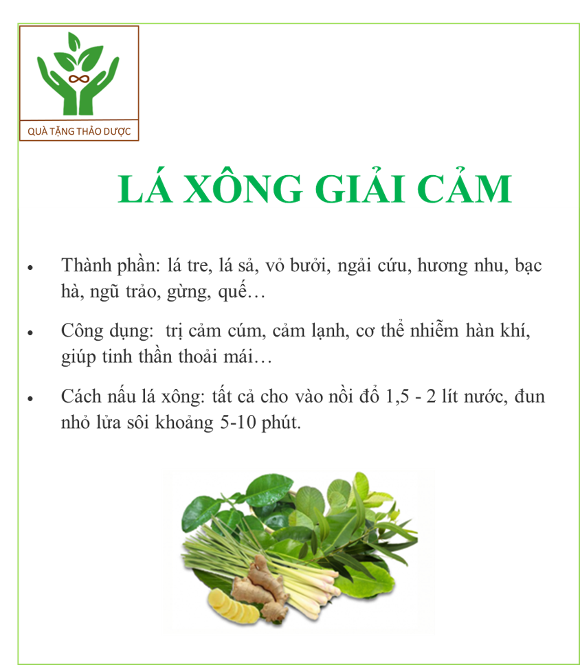 LÁ XÔNG TẮM