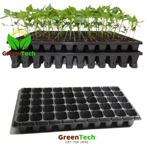 Khay ươm hạt 32 lỗ, 50 lỗ, 72 lỗ, 105 lỗ