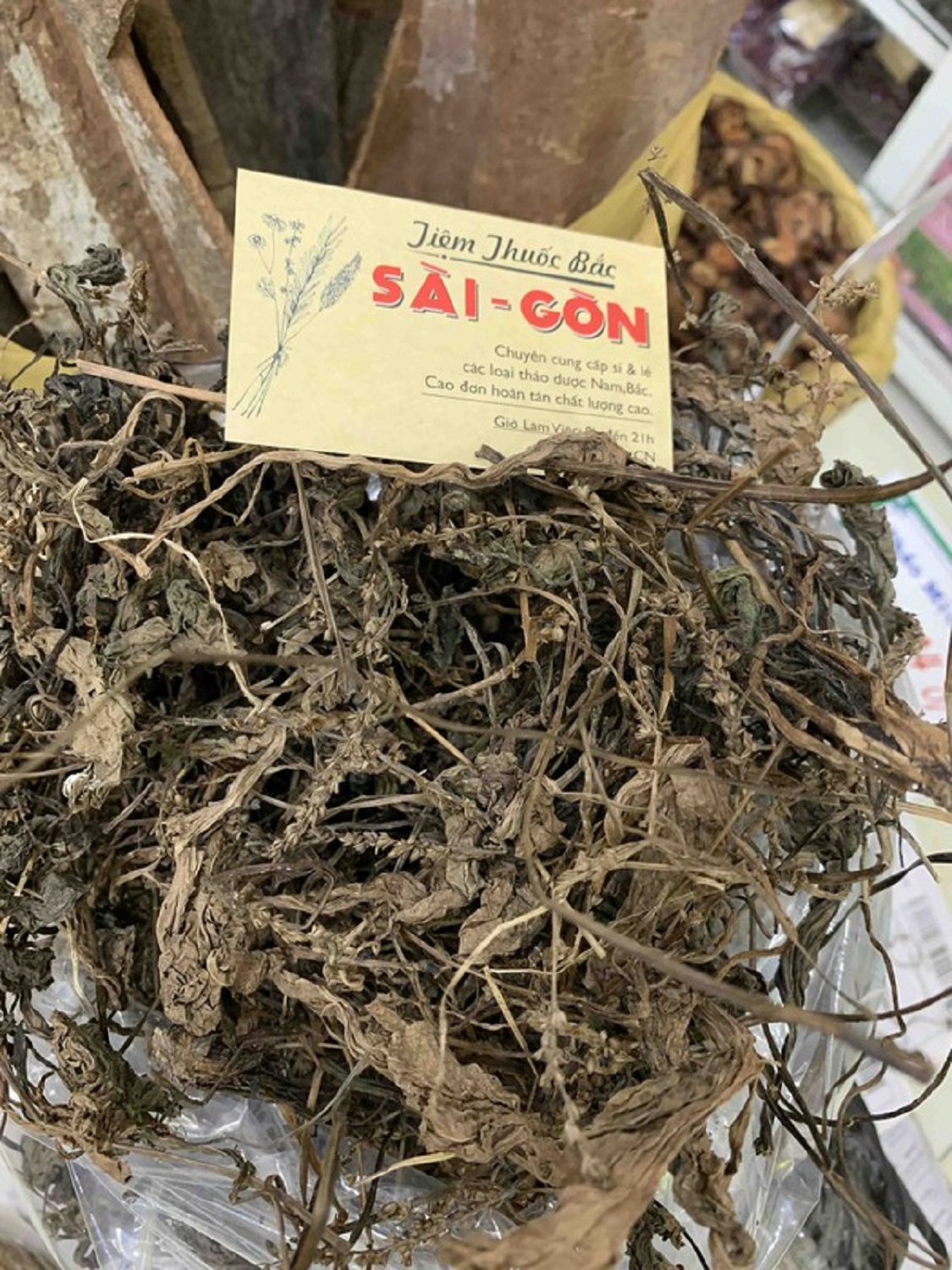 Cây mã đề hữu cơ 500gram tiệm thuốc bắc sài gòn