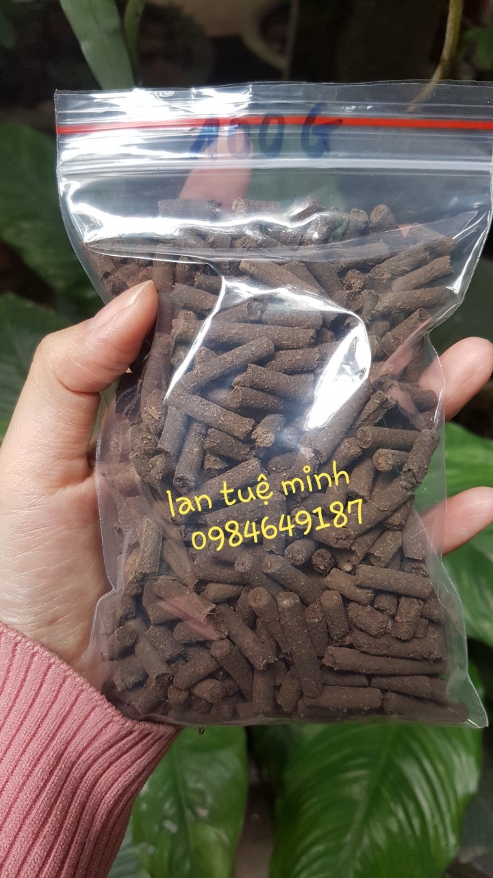 Combo 2kg phân trùn quế