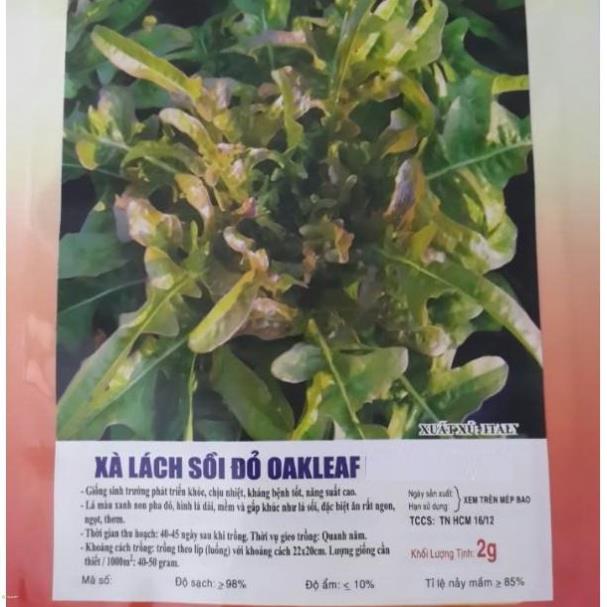 Hạt giống xà lách sồi đỏ oakleaf - gói 2 gram