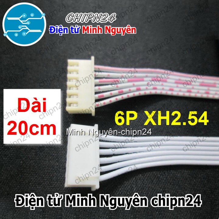 [2 sợi] (P13) Dây bẹ trắng 6P XH2.54mm 2 đầu cắm dài 20cm - HH000211