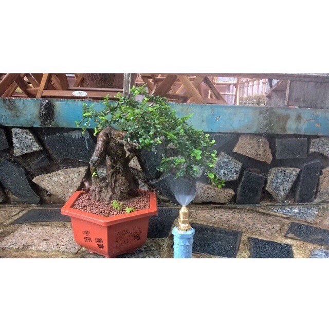[HCM]Béc phun sương đồng chân ren 21