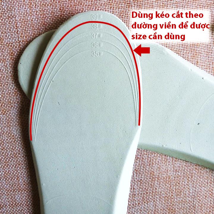 [HCM]Combo 2 cặp lót giày nữ êm chân (size nữ từ 35 đến 39 hoặc size nam từ 39 đến 43) - PK06