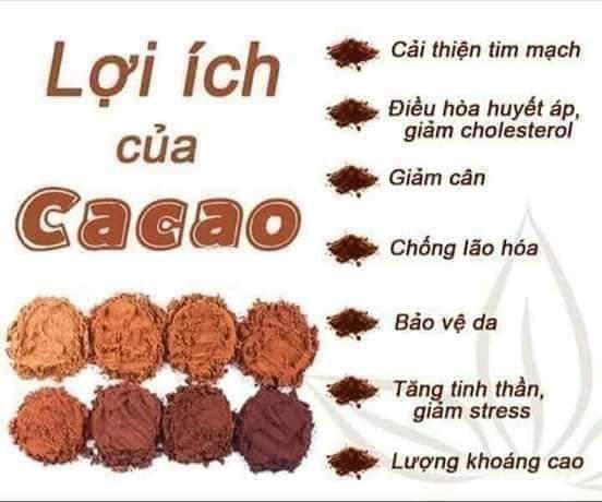 Bột ca cao nguyên chất từ Đăk Lăk 500g