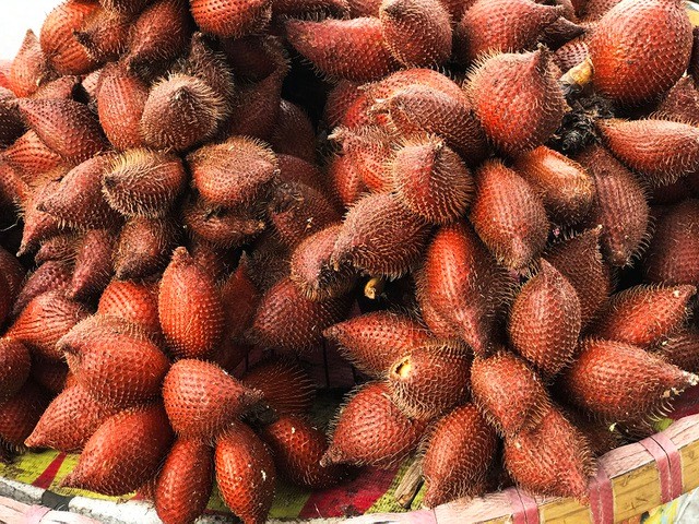 CÂY GIỐNG MÂY THÁI,SIÊU QUẢ SIÊU NGON, SIÊU KINH TẾ