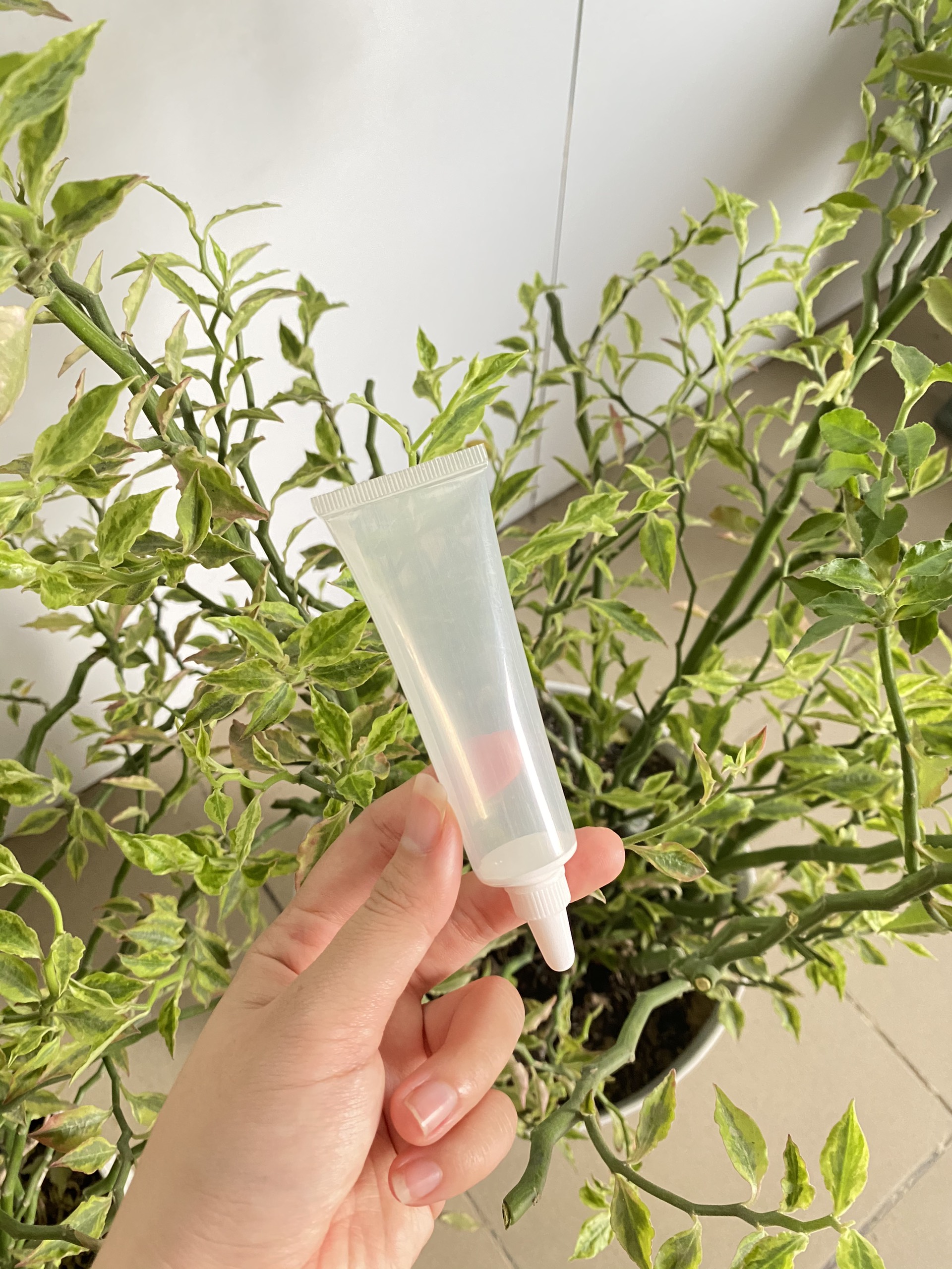 Tuýp nhựa trong suốt Fi25 (30ml) (BỘ NẮP NHỌN + NÚT)