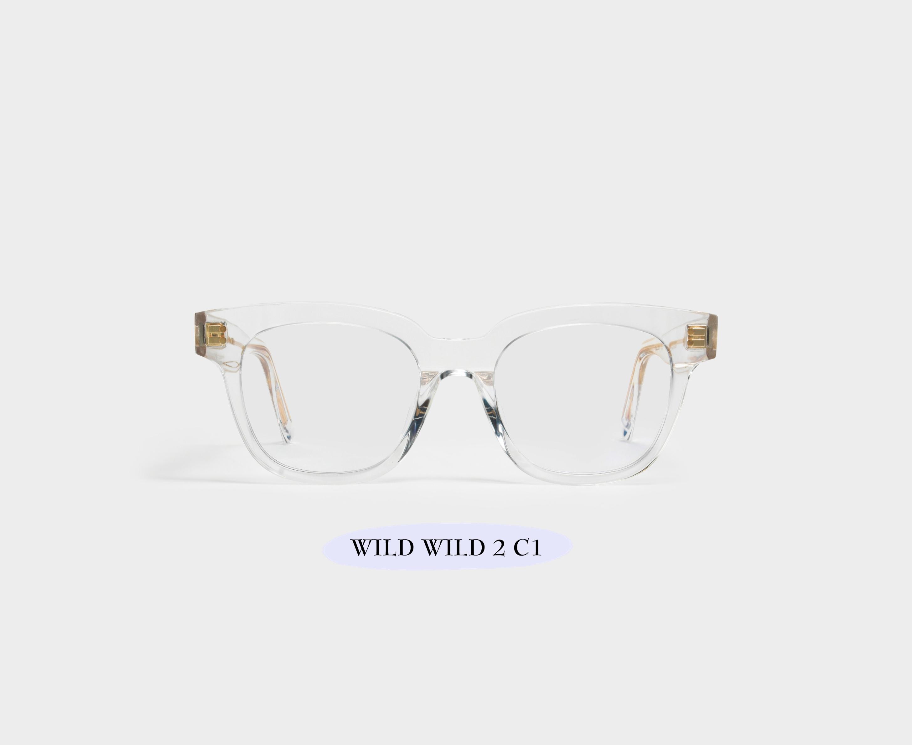 GENTLE MONSTER ジェントルモンスター Wild Wild 2 クリア