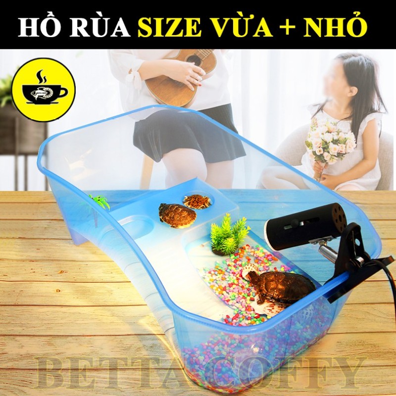 Bể Nuôi Rùa - Nuôi cá ếch thằn lằn chuột đều được - Size vừa & nhỏ(Trắng(Vừa 30x20x15cm))