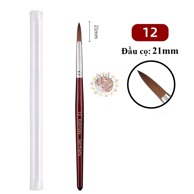 Cọ đắp bột nail size 16 cán gỗ kolinsky germany