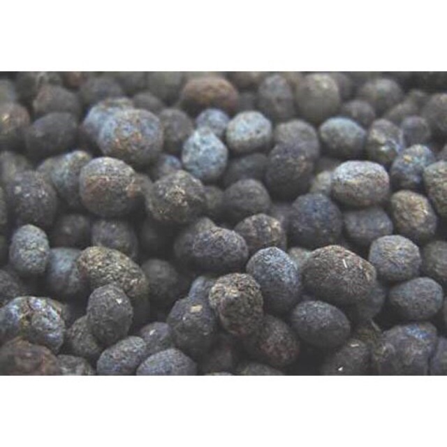 PHÂN DÊ ĐÃ XỬ LÝ TRICHODERMA TỐT CHO HOA LAN HOA HỒNG 1kg