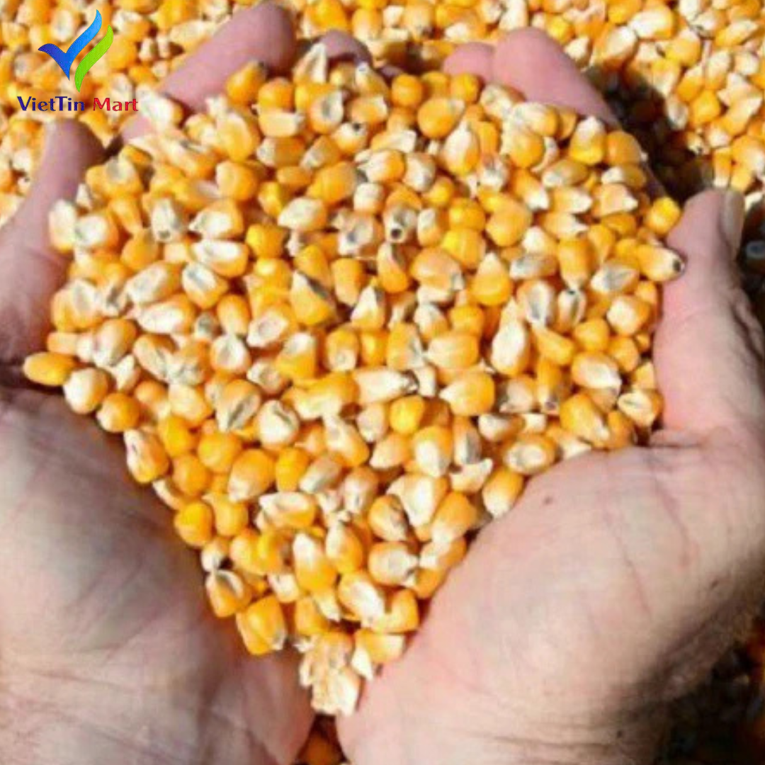 Set Nguyên Liệu Làm Bắp Rang Bơ Viettin Mart 1.2kg