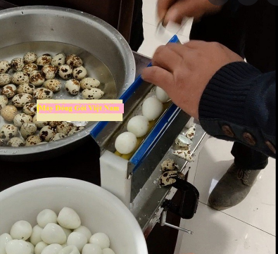 [HCM]Máy bóc vỏ trứng cút - máy lột vỏ trứng cút mini