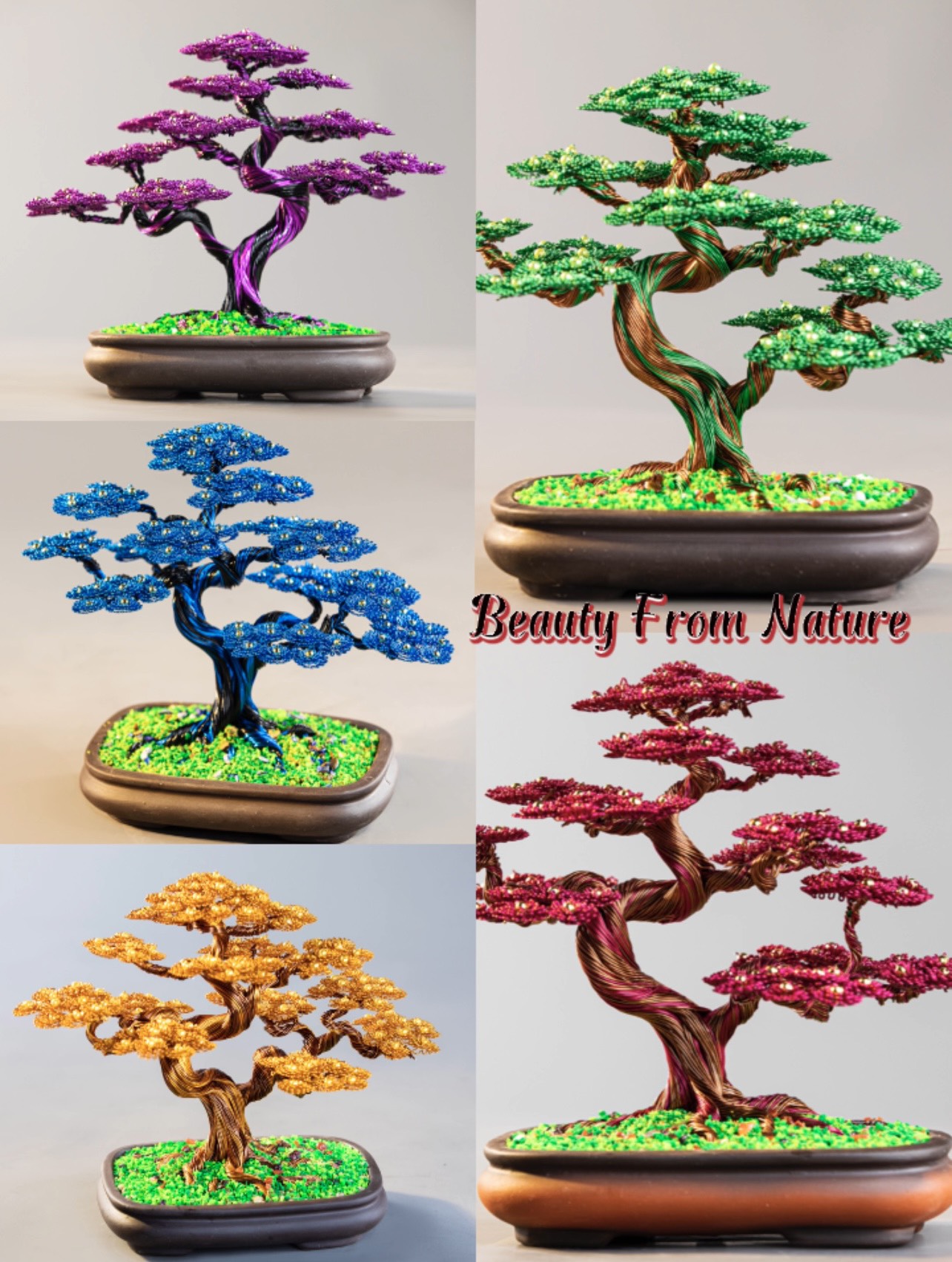 Cây tài lộc bonsai phong thủy (5 màu phong thủy)