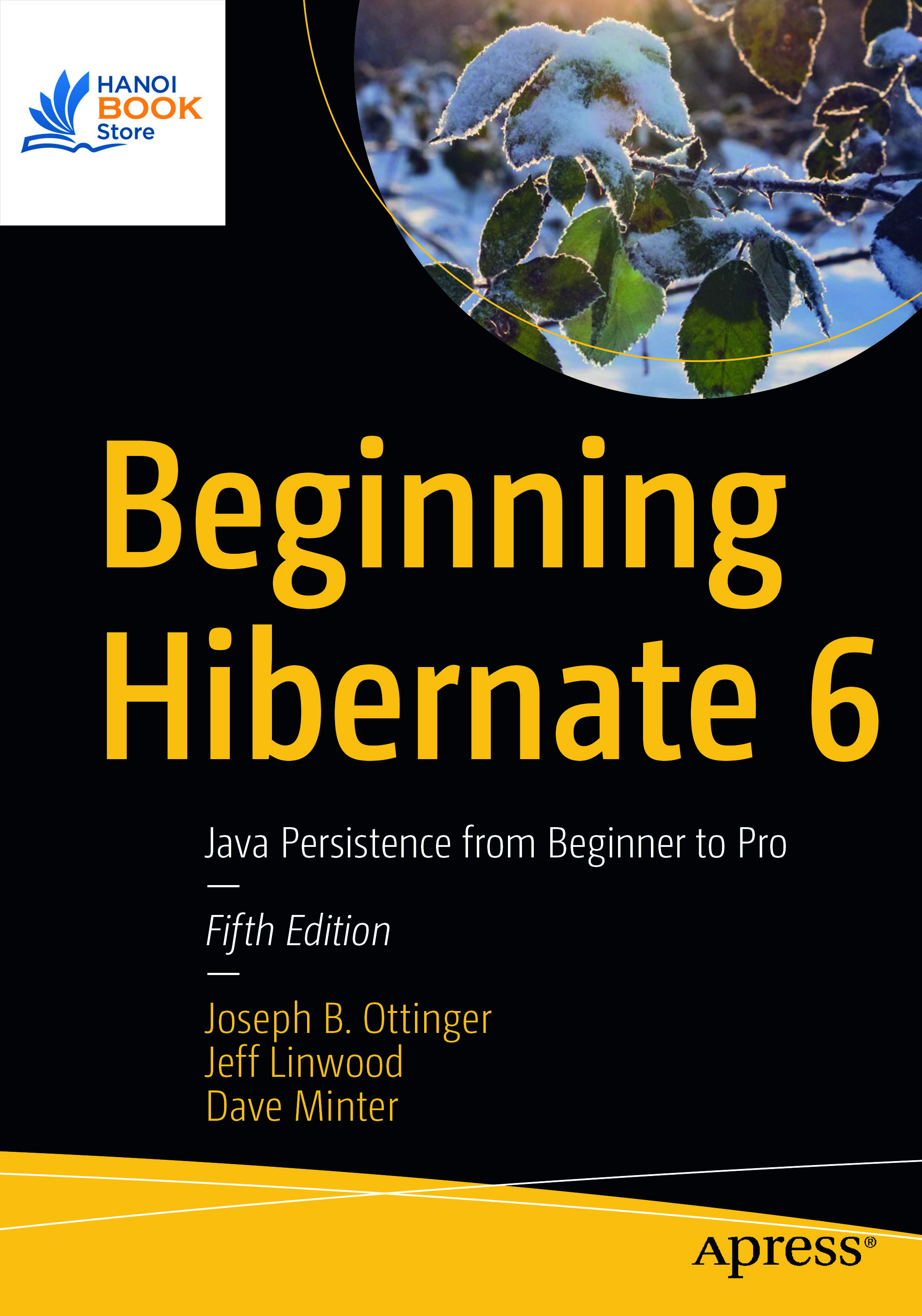 Sách Beginning Hibernate 6 Java Persistence from Beginner to Pro