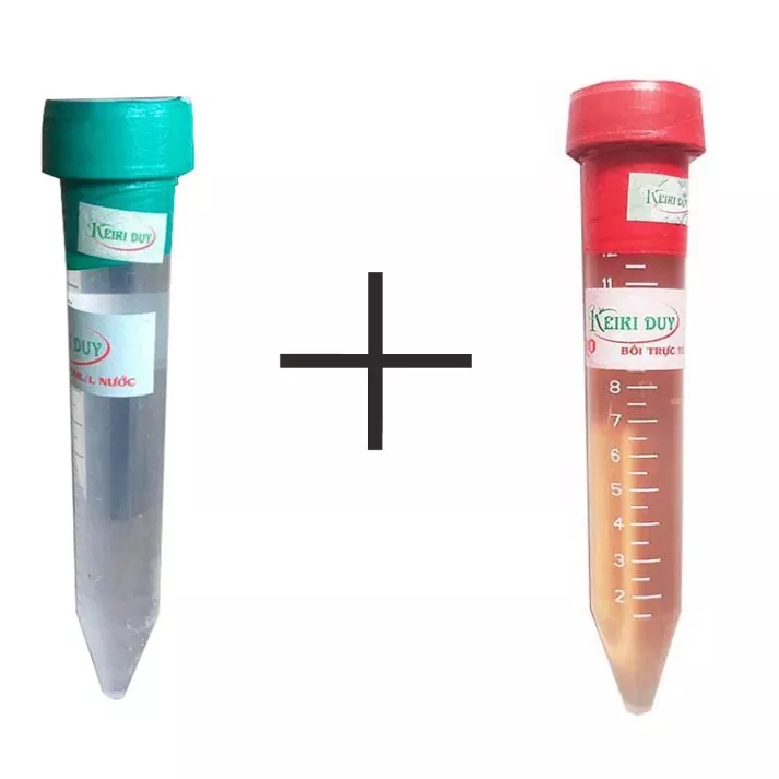 Bộ Kích kie hoa Duy Xanh và Duy Đỏ