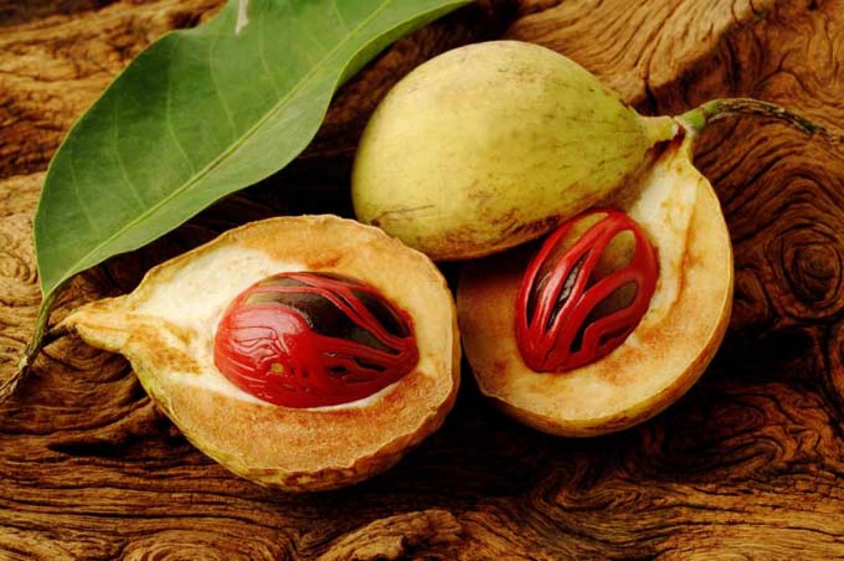 Nhục Đậu Khấu Ông Chà Và 500g